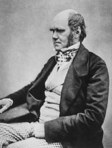 Charles Darwin public domain